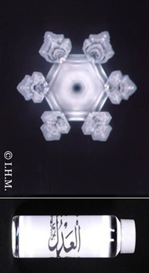 آداب غذاخوردن ونوشیدن از دیدگاه معصومین (ع) وقران مجید,واهمّیت بردن نام خدا قبل از خوردن ونوشیدن