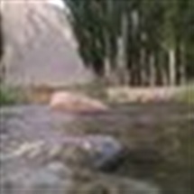 خلاصه ی تدبر در سوره های جزء 29 قرآن کریم همراه ترجمه واستدلال واستناد( سوره مبارکه نوح)